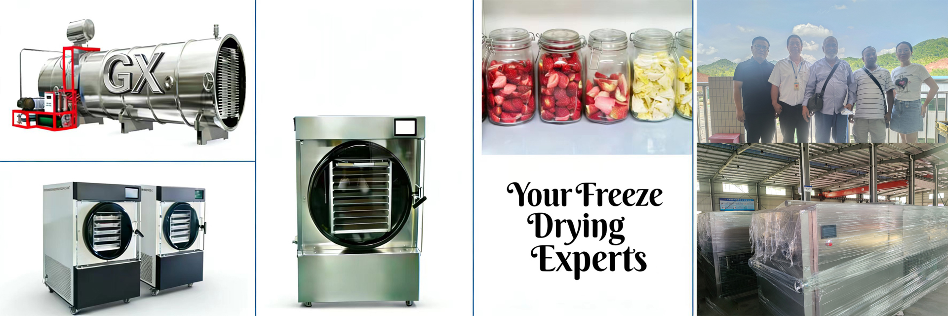 kwaliteit de droger van de huisvorst fabriek