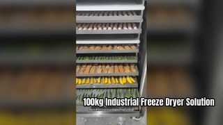 Industriële vriesdroger van 100 kg voor commerciële voedselproductie