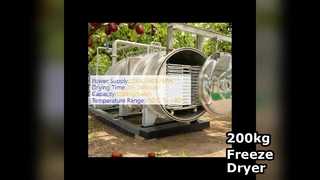 Industriële vriesdroger van 200 kg te koop