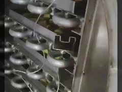 Industriële vriesdroger met Bosch vacuüm & 304 roestvrij schelp - Heavy-Duty Lyophilizer