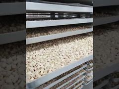 Bekijk: Gebouwd voor duurzaamheid: onderhoudsarme industriële vriesdrogerverwerkingsshowcase