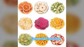 Industriële vriesdroger 100KG commerciële schaal