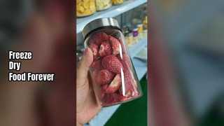 Home Vriesdroger Bewaar voedsel vers