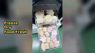 Home Vriesdroger Conserven Foo