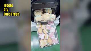 huisvriezedrogers voor voedselconservering