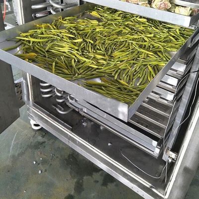 Voedingsmiddelen industriële vriesdroger 200 kg/partij PLC-besturing Luchtkoeling