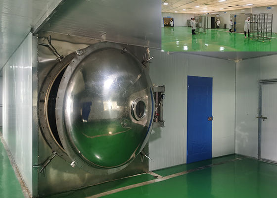 1000 kg/partij Grote vacuümvriezoogmachine met PLC-afstandsbediening