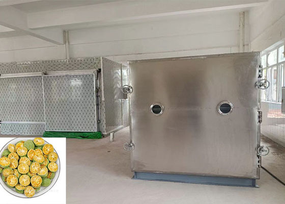 100 kg/partij Lyophilizer vriesdrogemachine met -eenheid