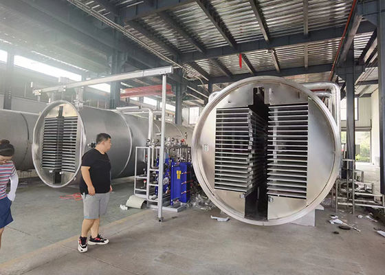 Medium Industrial Vacuum Freeze Drying Machine Voedsel Groenten