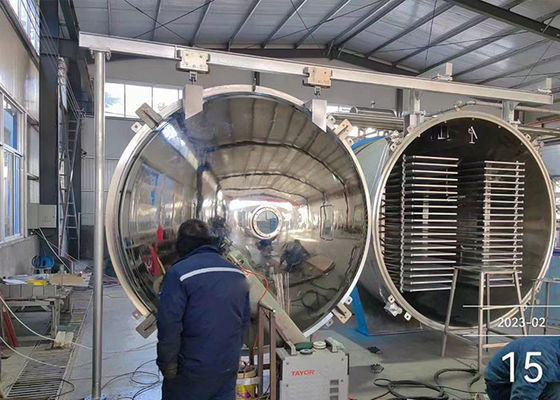 Voedsel Vacuüm Industrieel Vriesdrogingsapparatuur Fruit Groenten Vlees