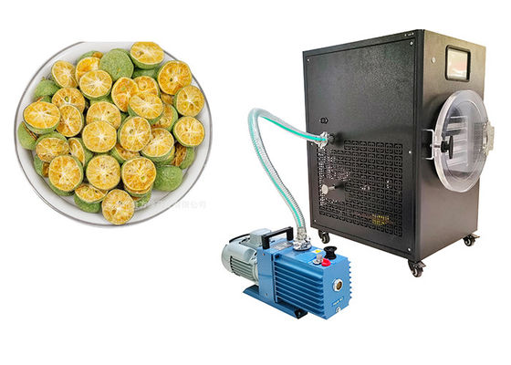 PLC-controle 10kg thuis vriesdroger -50C tot 50C temperatuurbereik