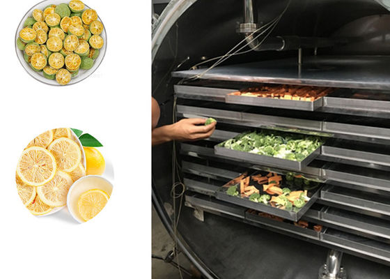 Fruit Groenten Industriële vries- 100 kg/partij