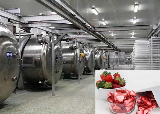 100 kg Voedsel vacuüm vriesdroger Industriële vriesdroger