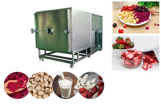 Voedingsmiddelen met een hoge capaciteit Vacuum Freeze Dryer 100 kg/batch Freeze Dry Fruit Machine