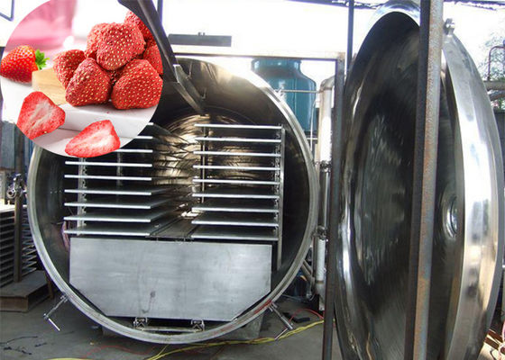 300 kg vacuüm Atla industriële voedsel groenten droge vriezer machine