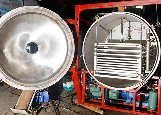500 kg afstandsbediening vacuüm industriële schaal vriesdroger