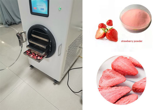 Roestvrij staal Mini Freeze Dryer LCD Touch Screen