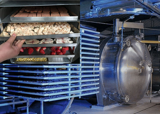 Voedingsmiddelen vacuümvriezer droogmachine energiebesparende lyophiliser