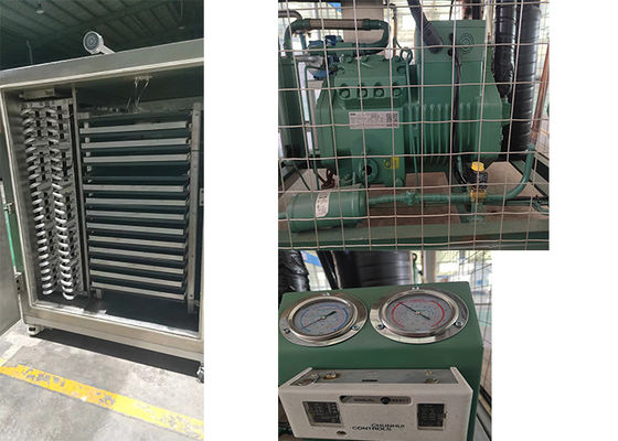 Lyophilizer Farmaceutisch Vriesdroger Elektrisch verwarmingsvacuüm