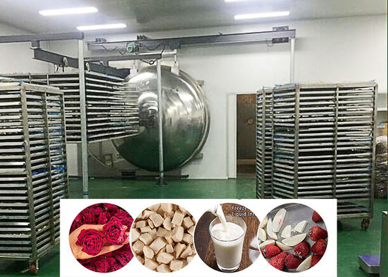 Vacuümvoedsel industriële vriesdroger 200 kg/partij