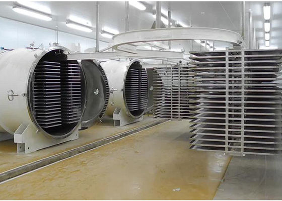 Voedselvacuüm industriële vriesdroger 300 kg/partij