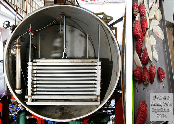 300kg industriële droogvriezingsmachine met afstandsbediening