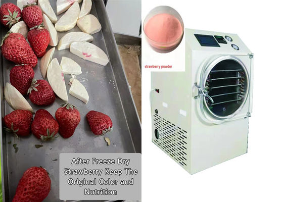 PLC-gecontroleerde voedselvriezer 6 kg 10 kg Middelgrootte