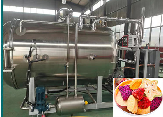 50 kg Vacuum Freeze Dry Fruit Machine Luchtkoeling