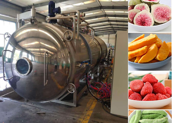Medium Food Vacuum Freeze Drying Machine 100 kg/partij