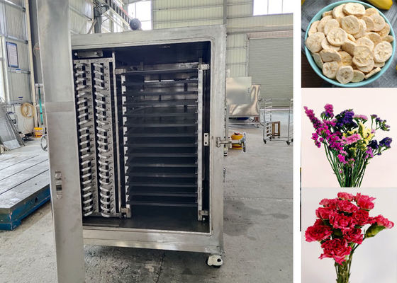 100 kg 200 kg Industriële voedingsmiddelen Groenten Vriesdroger Machines Equipment Versatile