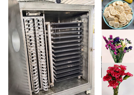 Industriële vacuümvriesdrogemachine voor maximale voedingswaardebehoud