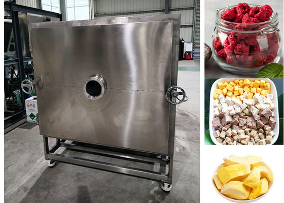 100 kg/partij Vriesmachine voor het bevriezen van gedroogd fruit Lyofiliseringsapparatuur