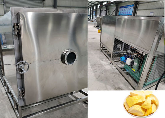 PLC-besturing Bevriezen van gedroogde fruitmachine apparatuur 100Kg 200Kg