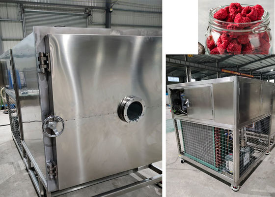 Aircooled Freeze Dry Fruit Machine  Apparatuur 100 kg/partij