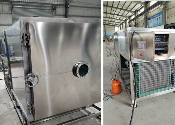 Elektrische verwarmingsvacuüm vriesdrogemachine 100 kg 200 kg/partij