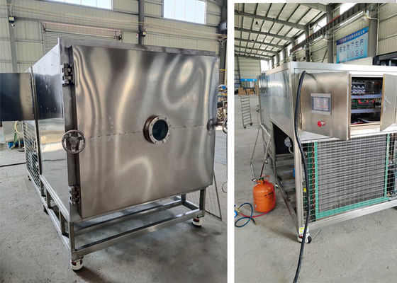 50kg100Kg Vacuüm Food Lyophilizer Vriesdroger Machine