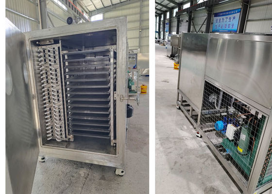 50kg 100Kg 200Kg Capaciteit Lyophilizer Vriesdroger Vacuümmachine