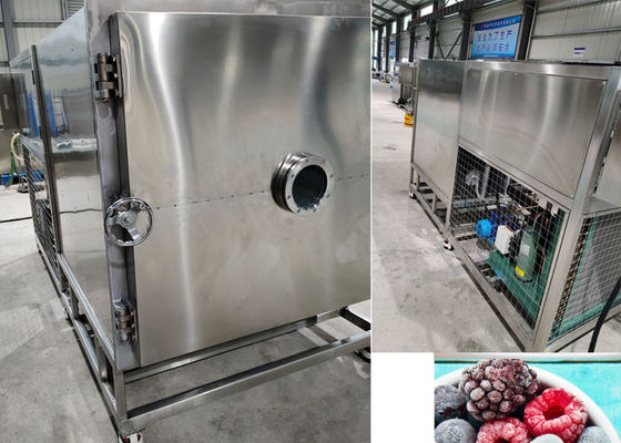 Vriesdrogemachine met vacuüm voor snoep en huisdiervoedsel - -koelsysteem