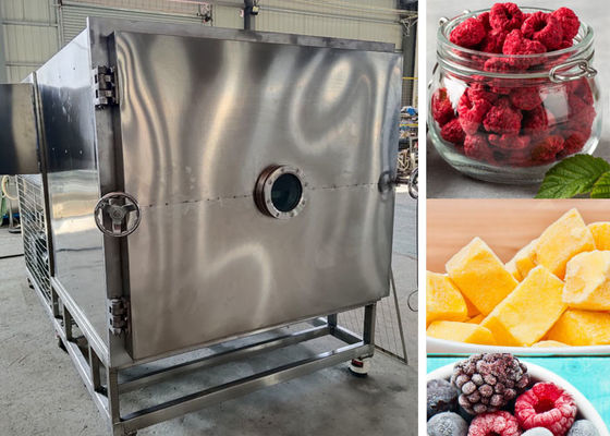 Industriële vriesdrogemachine met koelsysteem