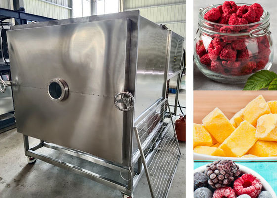 Grote voedingsmiddelen vacuüm vriesdrogemachine -40C vriestemperatuur