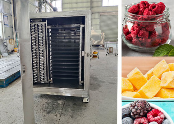 Compact ontworpen industriële vacuüm vriesdrogmachine