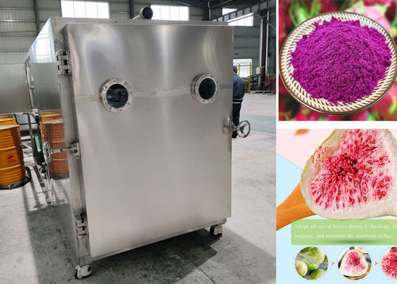-45C Moedermelk Vacuüm Industrieel Vriesdrogen 200kg 500Kg