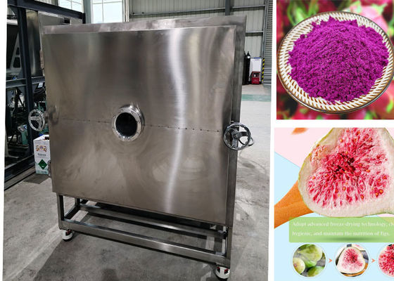 Diy Stayfresh vriesdroger met PLC-besturingssysteem