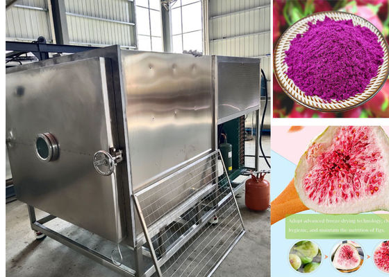 100 kg / partij Stayfresh vriesdroger met luchtkoelsysteem