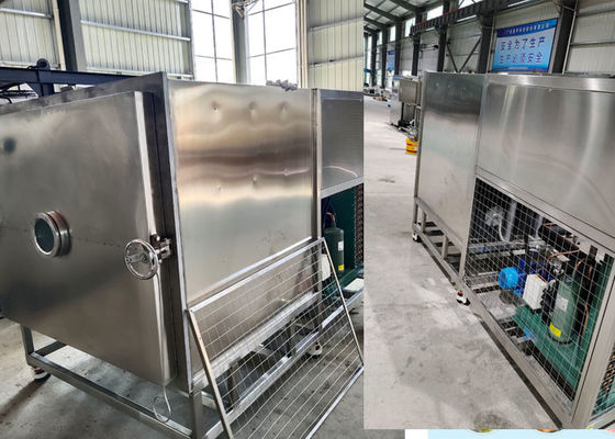 Elektrische verwarming vacuüm Stayfresh vriesdroger machine In 304 SUS
