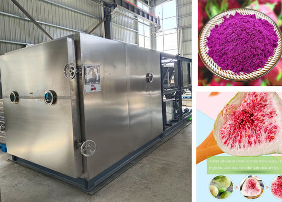 100 kg PLC-gecontroleerde Stayfresh vriesdroger voor snel vriesdrogen