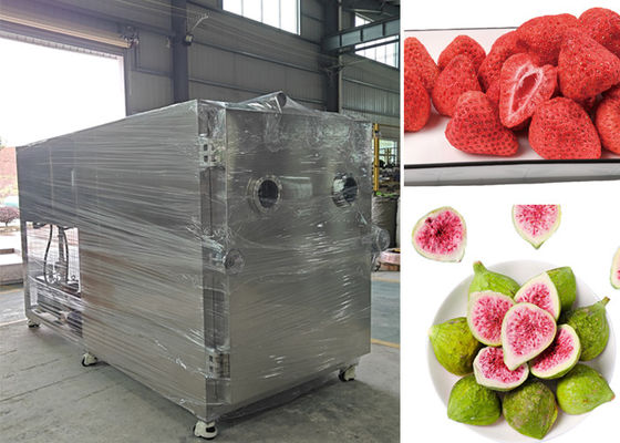 Elektrische verwarming Voedsel Groenten Vriesdroger 100Kg 200Kg