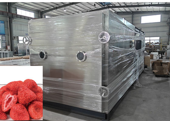 Grote groentevriezermachine 100 kg/batch