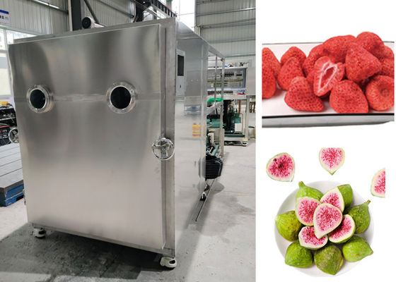 Elektrische verwarming Groenten Lyophilizer Voedsel vriesdroger Machine
