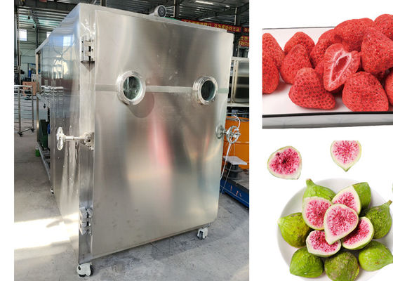 SUS 304 Voedsel voor huisdieren Vacuum Freeze Dryer Vlees Fruit Lyophilizer